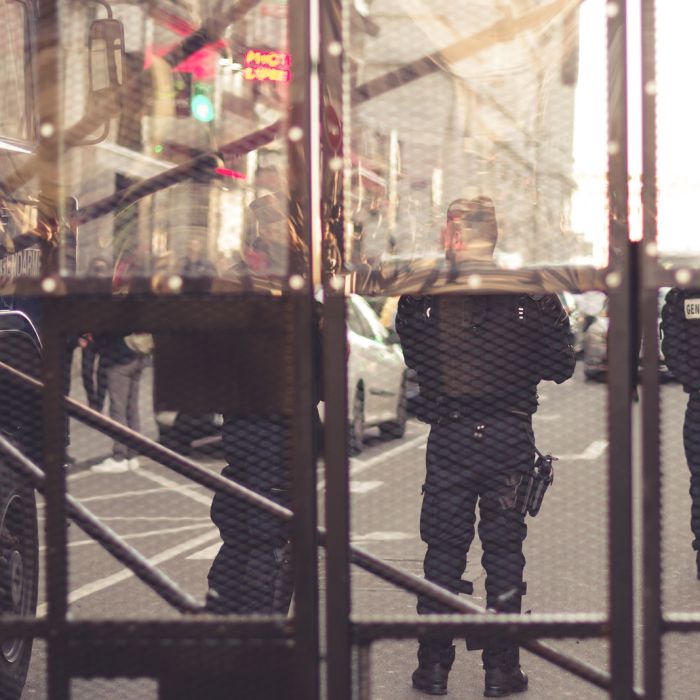 How Rapid Growth Is Destroying the Environment (Demo)