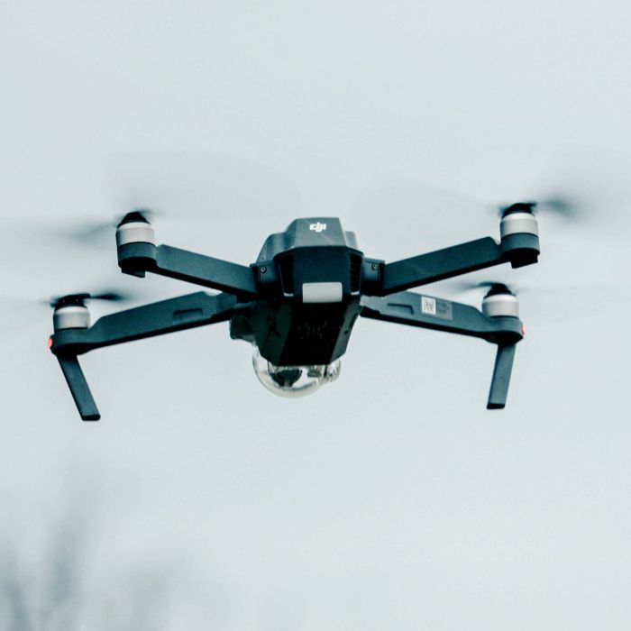 The Presidential Candidates Debate Granting Asylum (Demo)