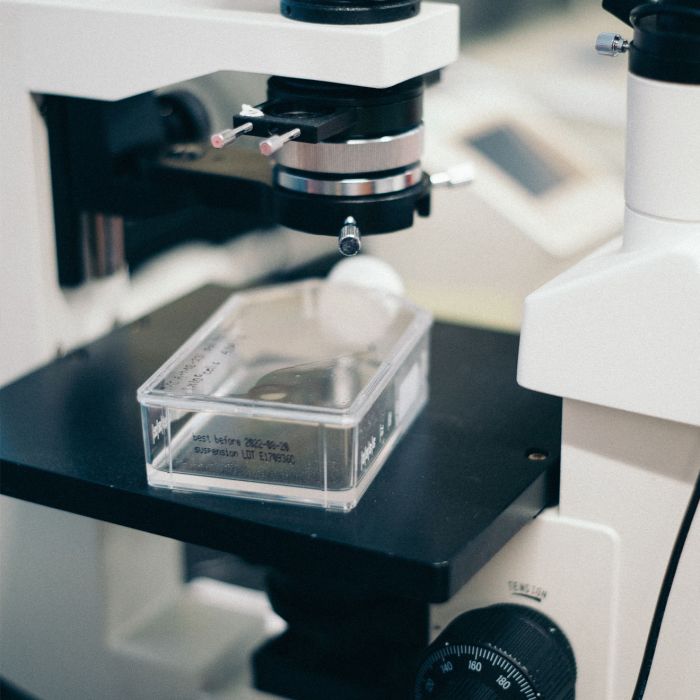 No more serifs, same bright colours: Google new identity (Demo)