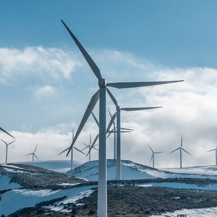 The Presidential Candidates Debate Granting Asylum (Demo)