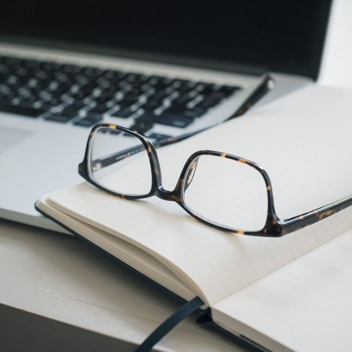 The Presidential Candidates Debate Granting Asylum (Demo)