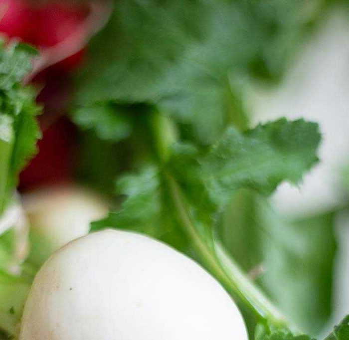 Hidden Gems: Underrated Spots Foodies Are Raving About (Demo)